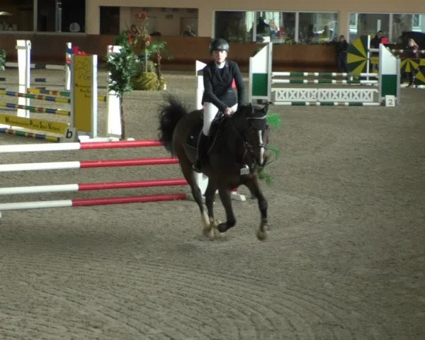 Reitturnier Dettingen 2020