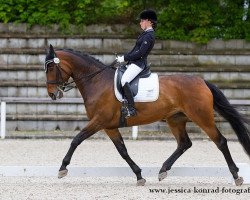 dressage horse Rashidah G (Württemberger, 2007, from Rubin Royal OLD)
