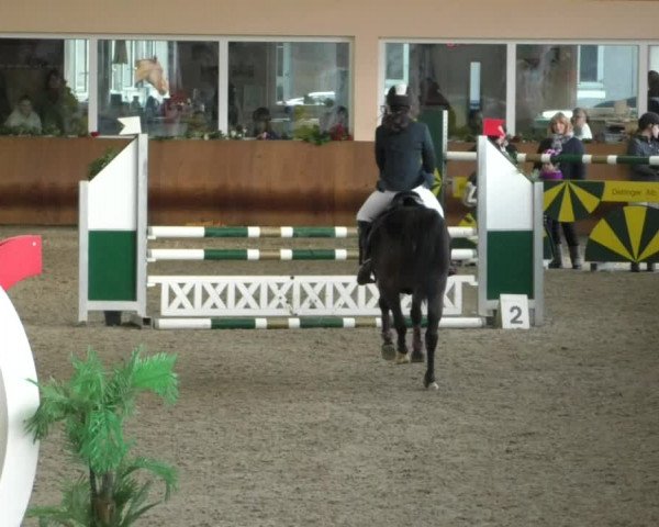Reitturnier Dettingen 2020