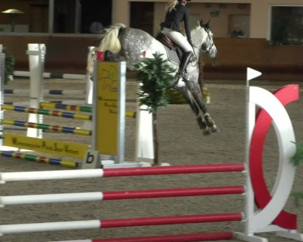 Reitturnier Dettingen 2020
