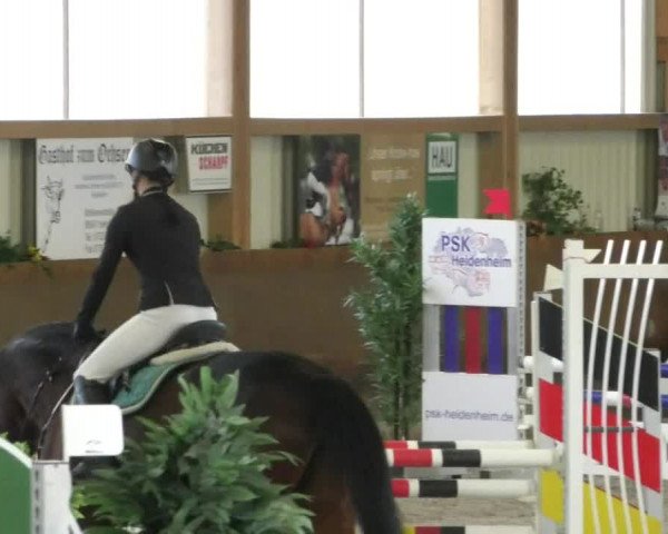 Reitturnier Dettingen 2020