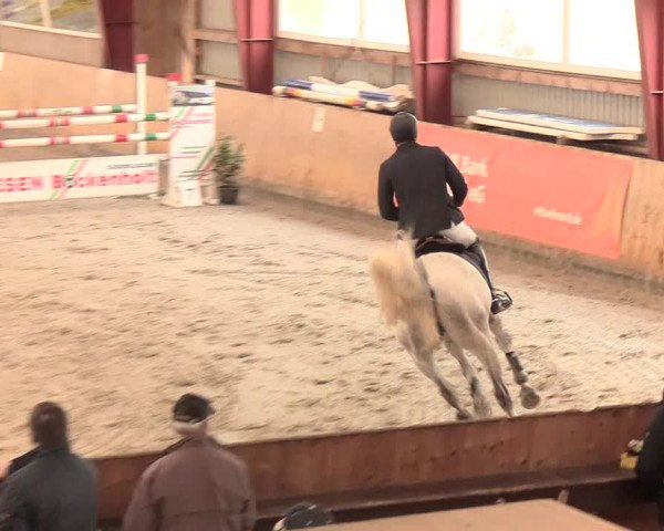 Reitturnier Süderlügum 2020