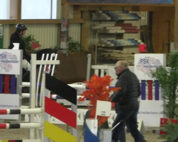Reitturnier Dettingen 2020