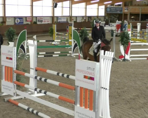 Reitturnier Dettingen 2020
