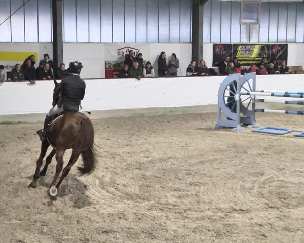 Reitturnier Karlsfeld/Obb. 2020
