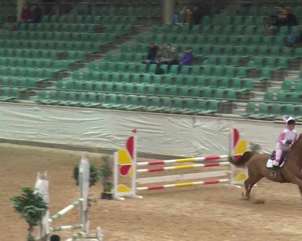 Reitturnier Kreuth/Opf. 2020