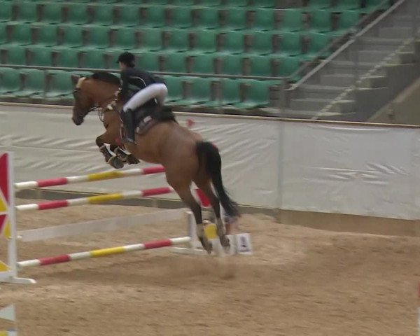 Reitturnier Kreuth/Opf. 2020