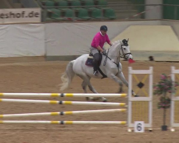 Reitturnier Kreuth/Opf. 2020