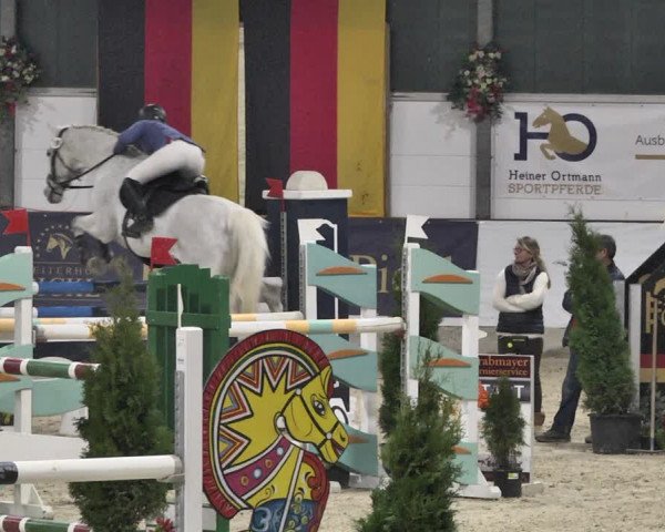 Reitturnier Karlsfeld/Obb. 2020