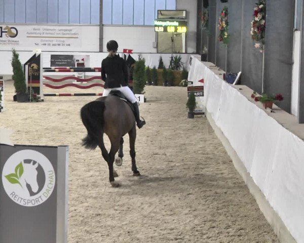 Reitturnier Karlsfeld/Obb. 2020