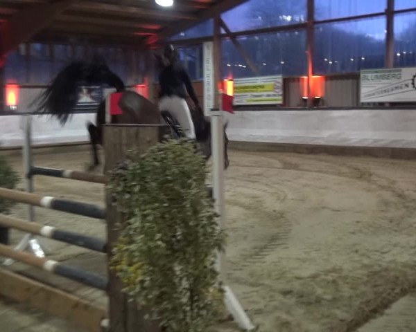 Reitturnier Lindlar-Süttenbach 2020