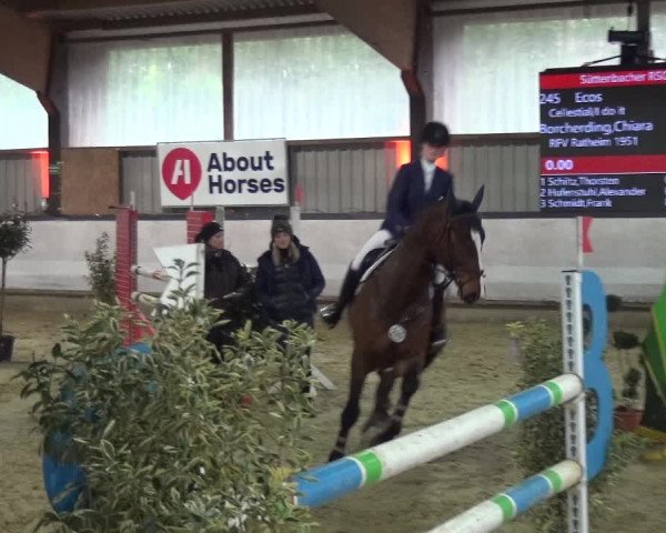 Reitturnier Lindlar-Süttenbach 2020