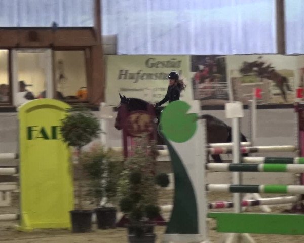 Reitturnier Lindlar-Süttenbach 2020