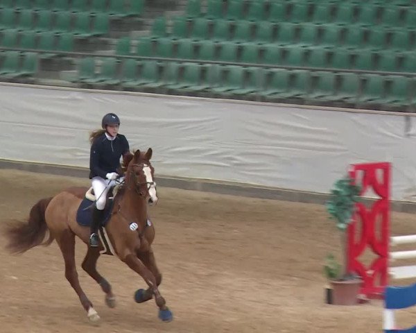 Reitturnier Kreuth/Opf. 2020
