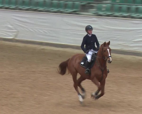 Reitturnier Kreuth/Opf. 2020