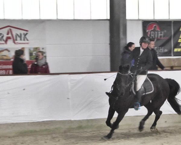 Reitturnier Karlsfeld/Obb. 2020