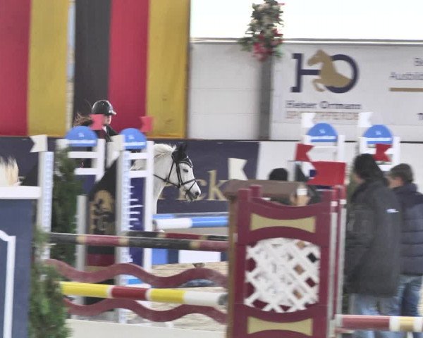 Reitturnier Karlsfeld/Obb. 2020