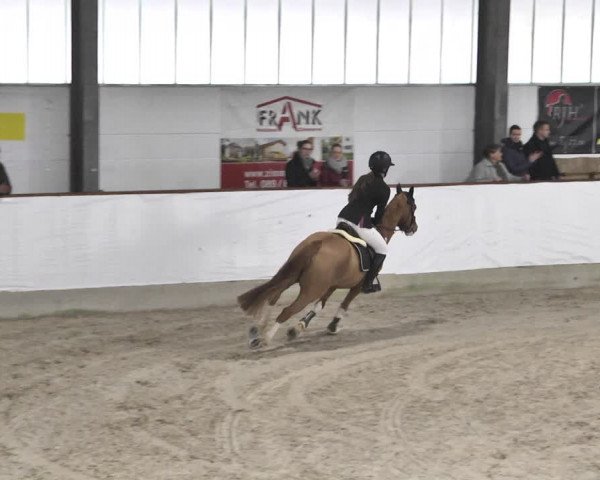 Reitturnier Karlsfeld/Obb. 2020