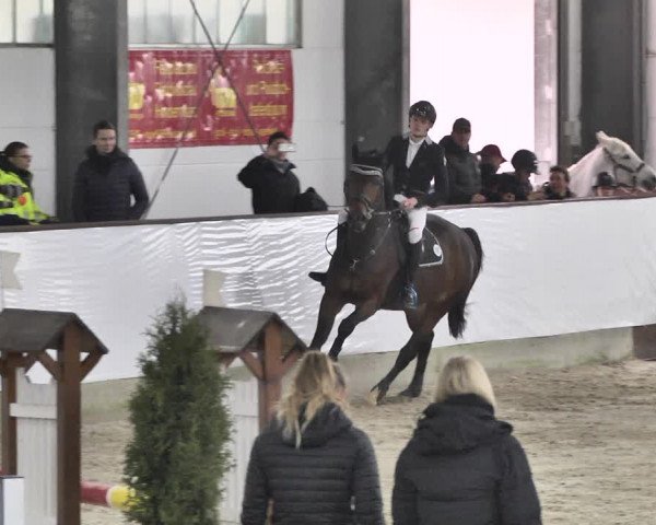 Reitturnier Karlsfeld/Obb. 2020