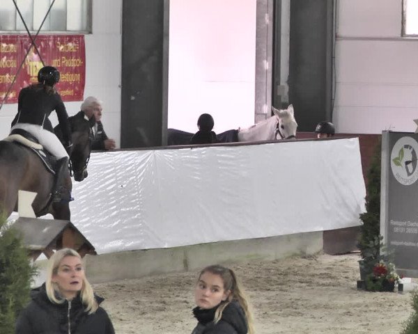 Reitturnier Karlsfeld/Obb. 2020