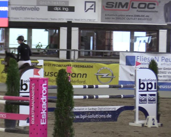 Reitturnier Vlotho-Exter 2020