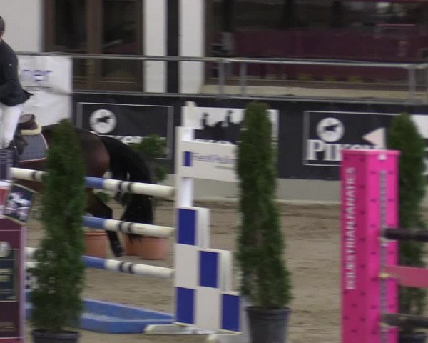 Reitturnier Vlotho-Exter 2020