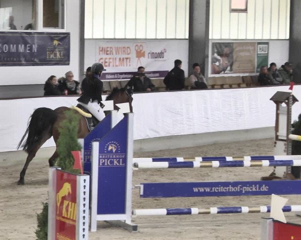 Reitturnier Karlsfeld/Obb. 2020