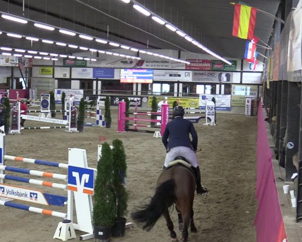 Reitturnier Vlotho-Exter 2020