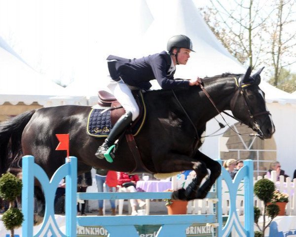 broodmare Peppi N.w. (Westphalian, 2006, from Pontifex)