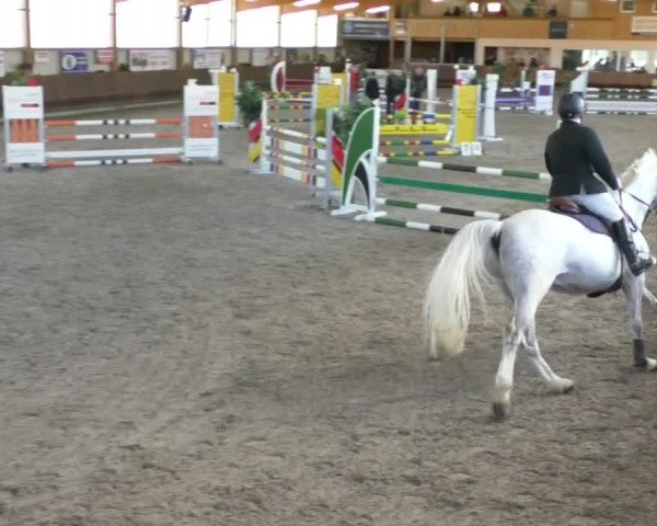 Reitturnier Dettingen 2020