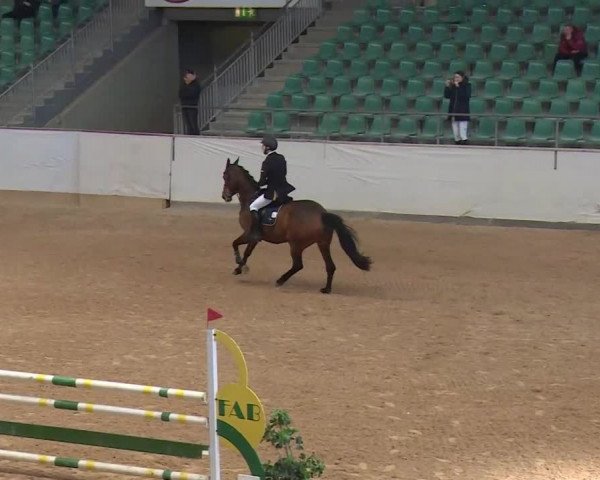 Reitturnier Kreuth/Opf. 2020