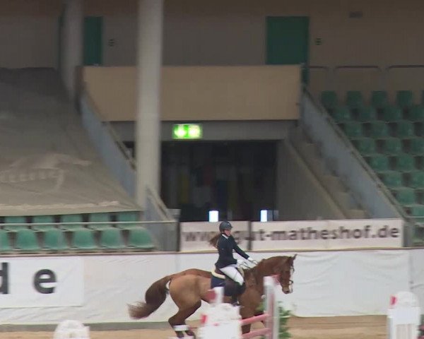 Reitturnier Kreuth/Opf. 2020