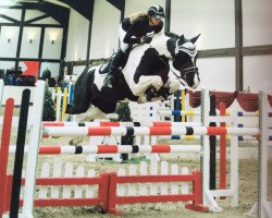 jumper Cartier Couleur (Trakehner, 2009, from Camaro)