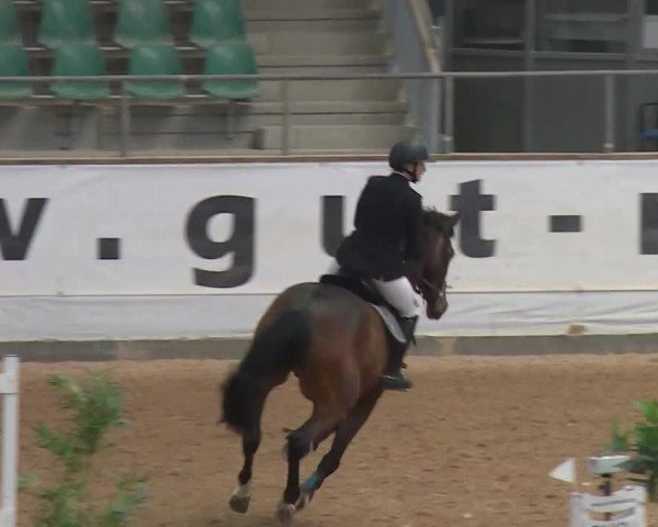 Reitturnier Kreuth/Opf. 2020