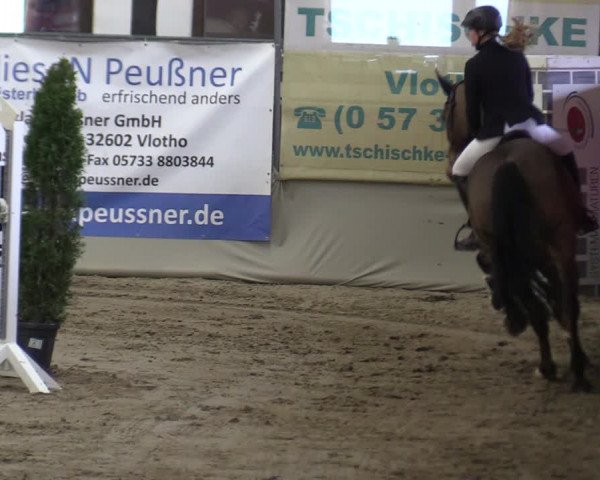 Reitturnier Vlotho-Exter 2020