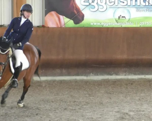 Reitturnier Dettingen 2020