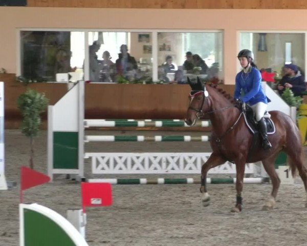 Reitturnier Dettingen 2020