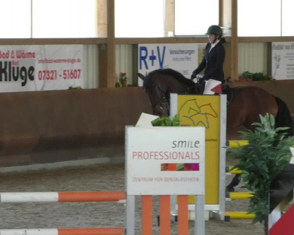 Reitturnier Dettingen 2020