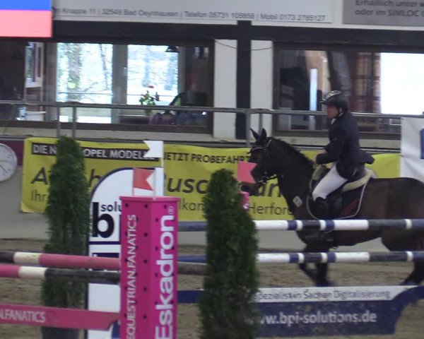 Reitturnier Vlotho-Exter 2020