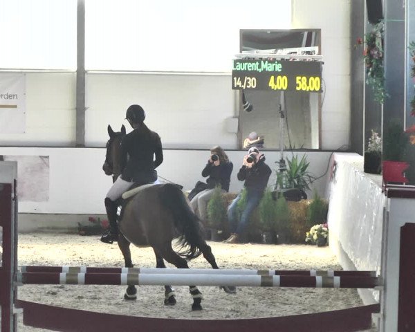 Reitturnier Karlsfeld/Obb. 2020