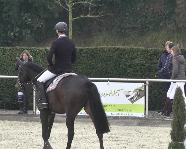 Reitturnier Durmersheim-Hardt 2021