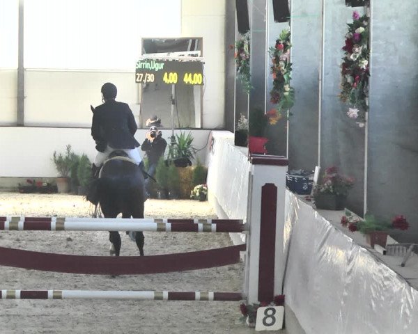 Reitturnier Karlsfeld/Obb. 2020
