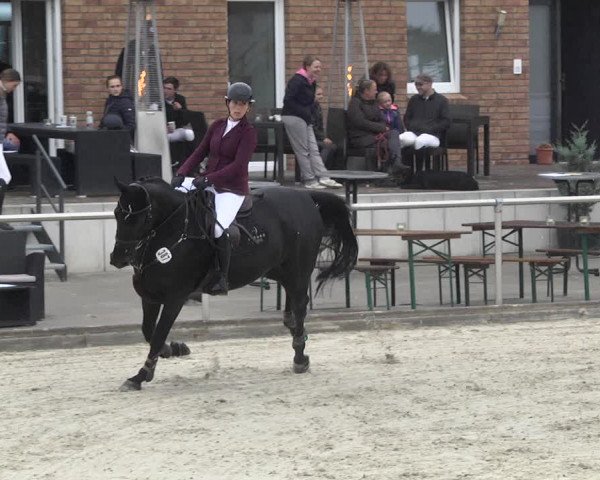 Reitturnier Durmersheim-Hardt 2021