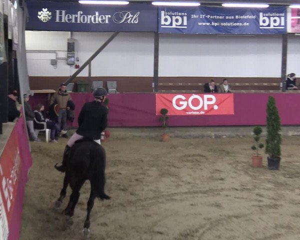 Reitturnier Vlotho-Exter 2020