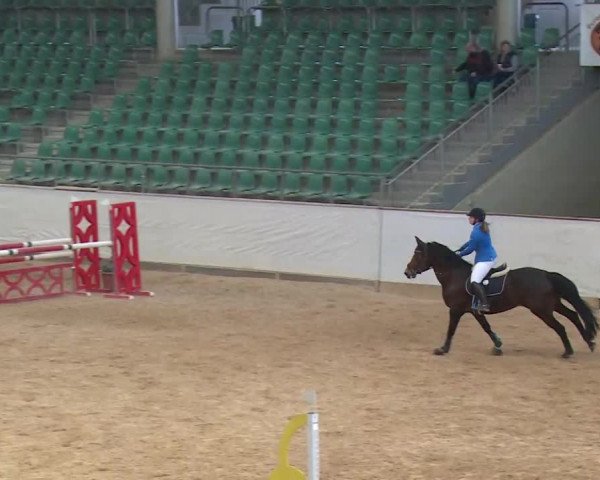 Reitturnier Kreuth/Opf. 2020