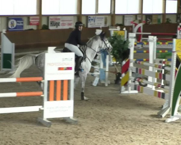 Reitturnier Dettingen 2020