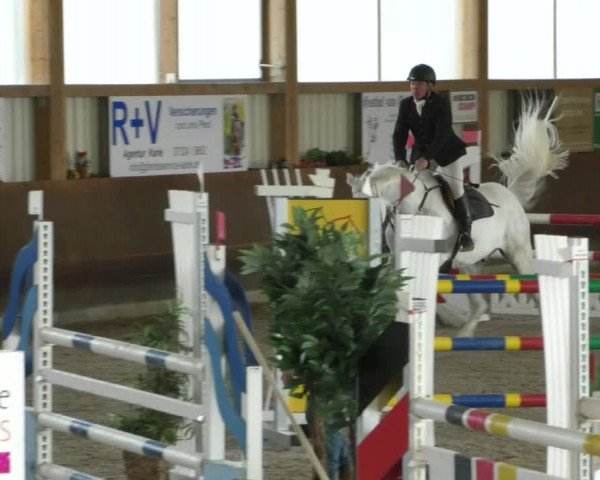 Reitturnier Dettingen 2020