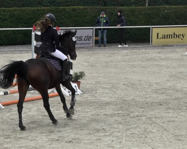 Reitturnier Durmersheim-Hardt 2021
