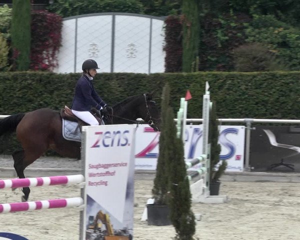 Reitturnier Durmersheim-Hardt 2021