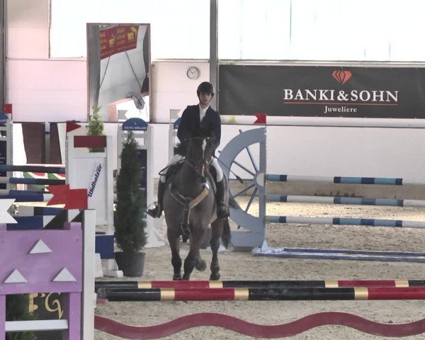 Reitturnier Karlsfeld/Obb. 2020